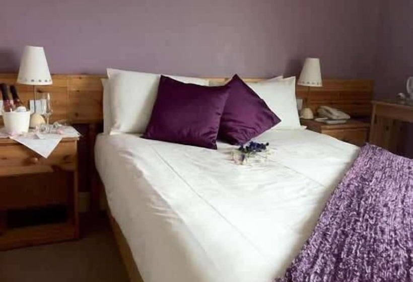 Отель Ocean Lodge