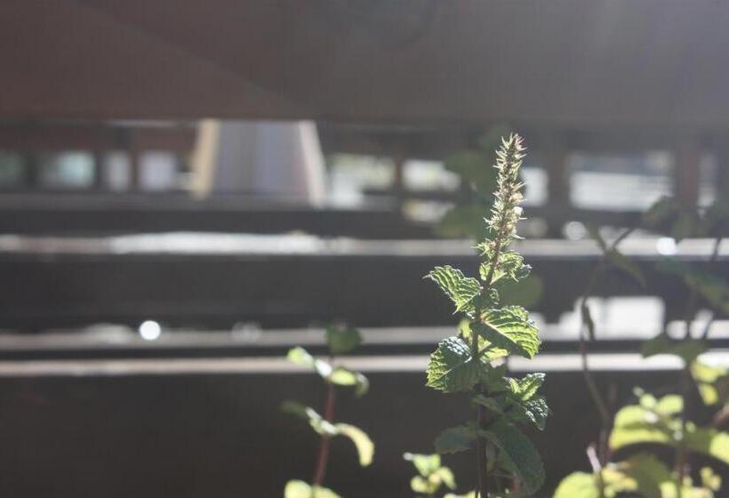 فندق Olympic Mountains