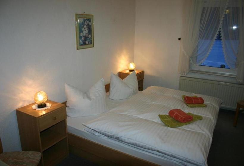 Hotelli Pension Bodetal