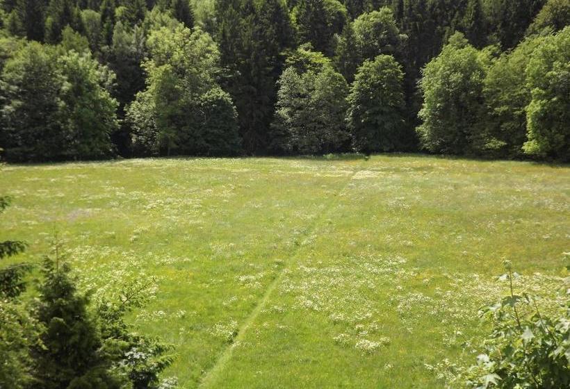 Hotelli Pension Bodetal