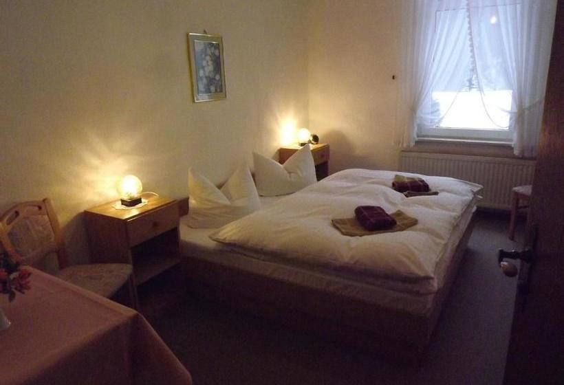 Hotelli Pension Bodetal