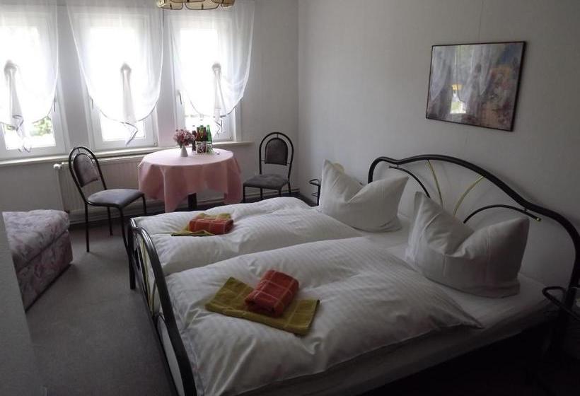 Hotelli Pension Bodetal