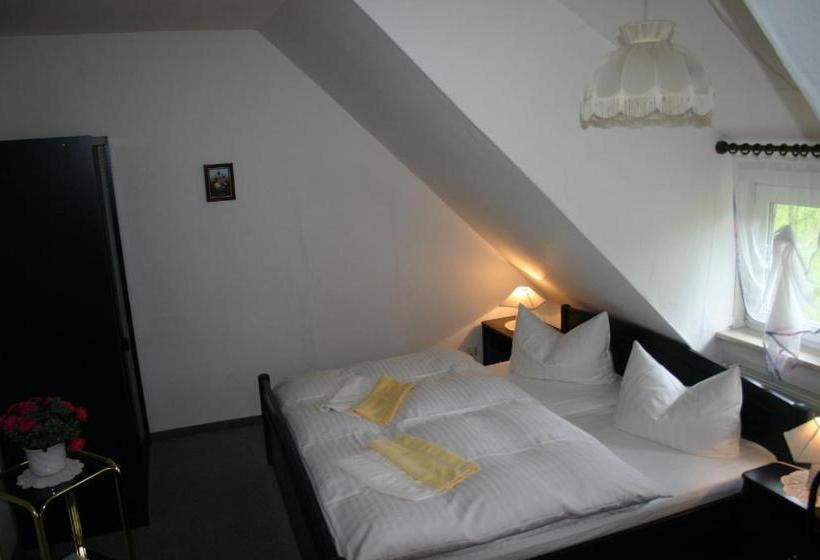 Hotelli Pension Bodetal