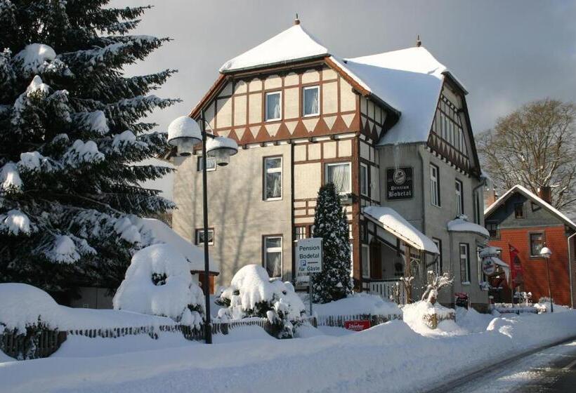 Hotelli Pension Bodetal