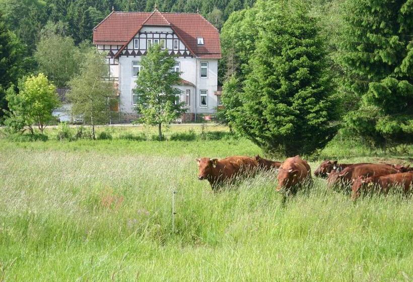 Hotelli Pension Bodetal