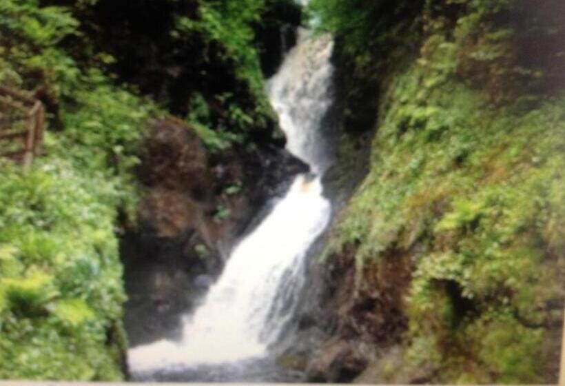 ベッドアンドブレックファースト Garron View