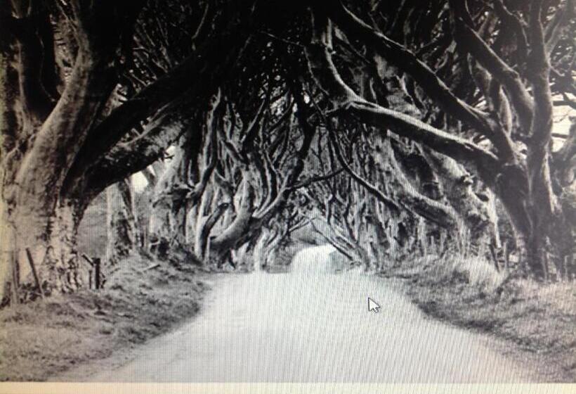 ベッドアンドブレックファースト Garron View