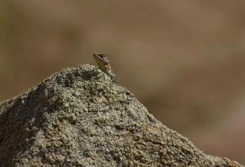 ホテル Encuentro Guadalupe