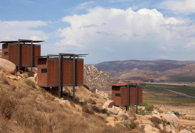 酒店 Encuentro Guadalupe