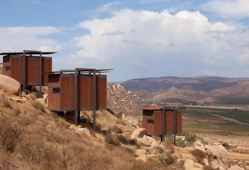 ホテル Encuentro Guadalupe