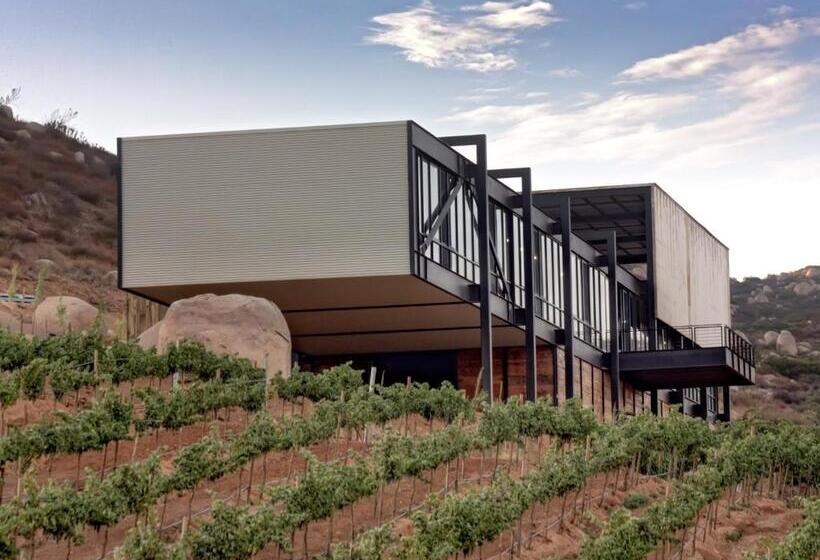 酒店 Encuentro Guadalupe