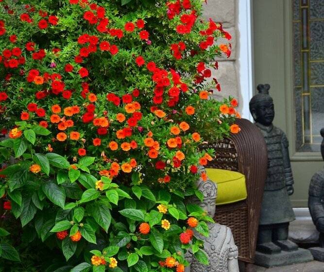 فندق Explorer House Bed & Breakfast