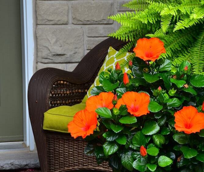 فندق Explorer House Bed & Breakfast