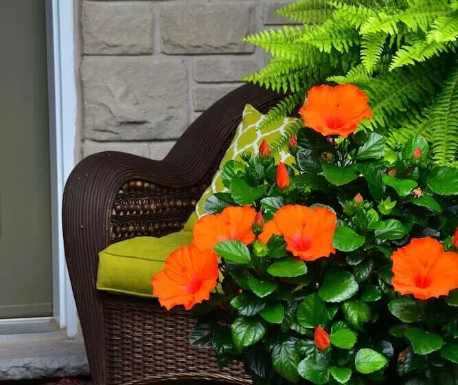 هتل Explorer House Bed & Breakfast