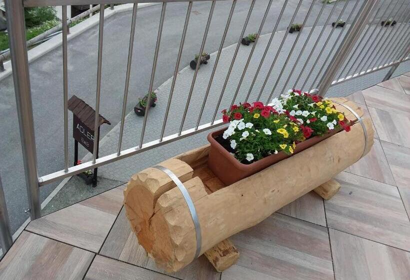 ホテル Meublè Adler   Rooms & Mountain Apartments