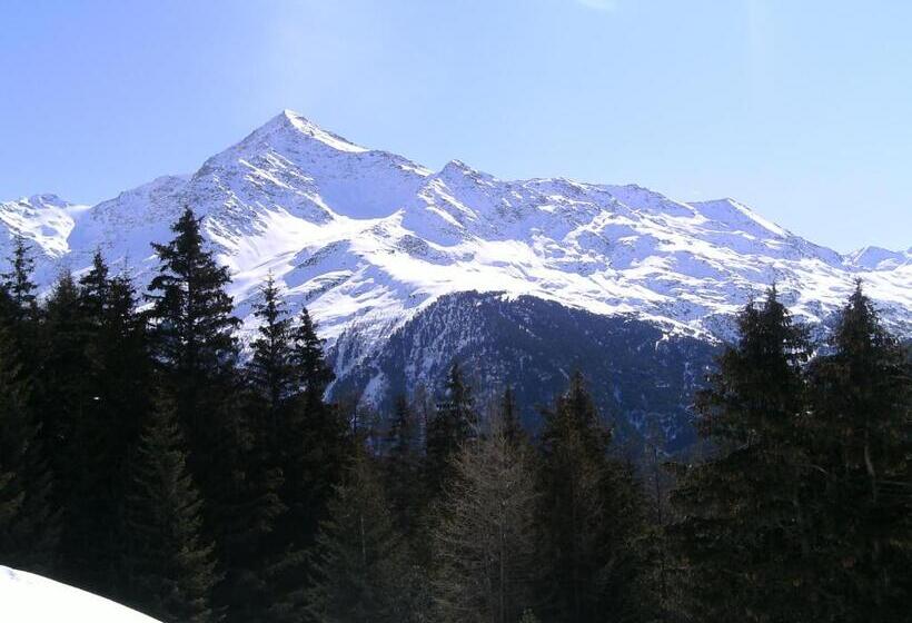 ホテル Meublè Adler   Rooms & Mountain Apartments