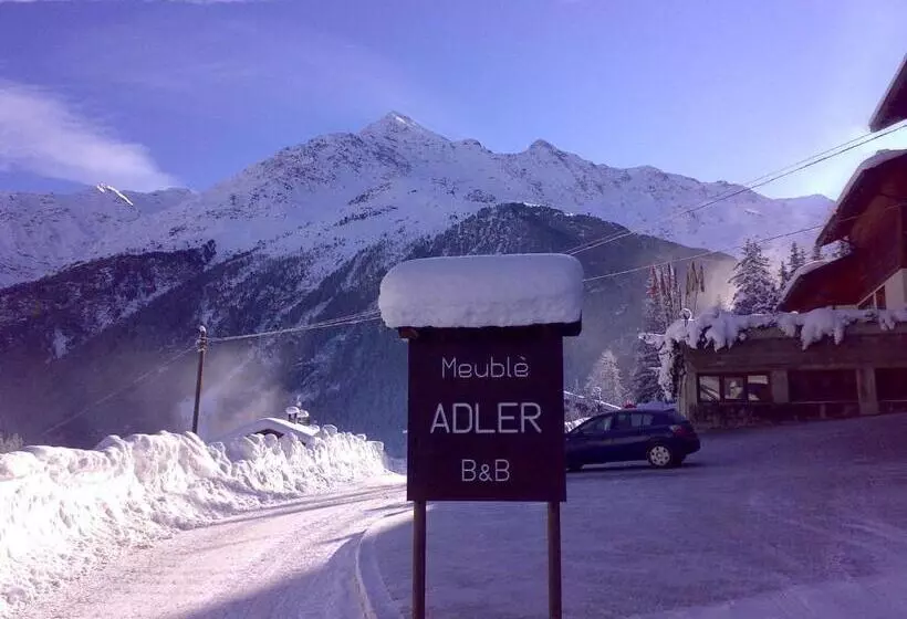 ホテル Meublè Adler   Rooms & Mountain Apartments