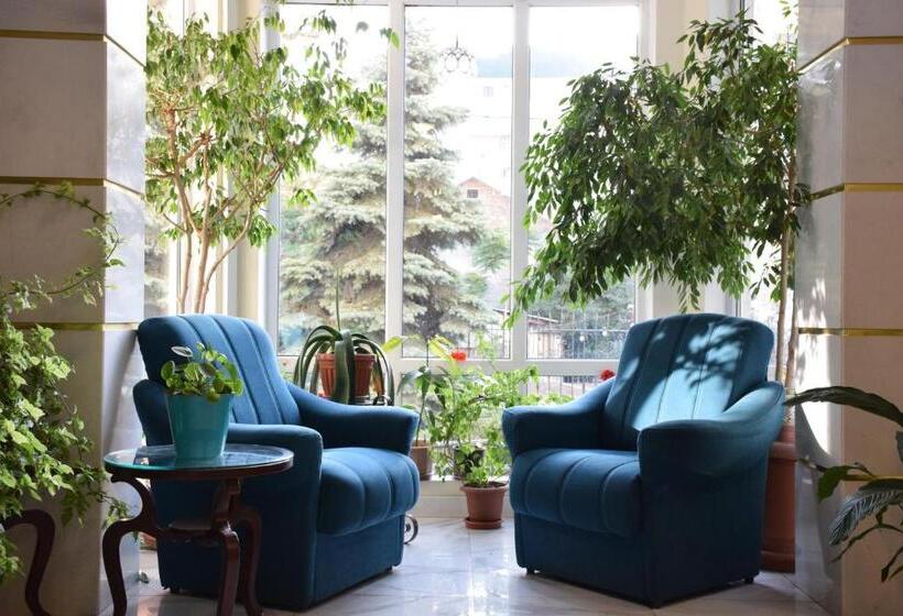 فندق Silk Road Lodge