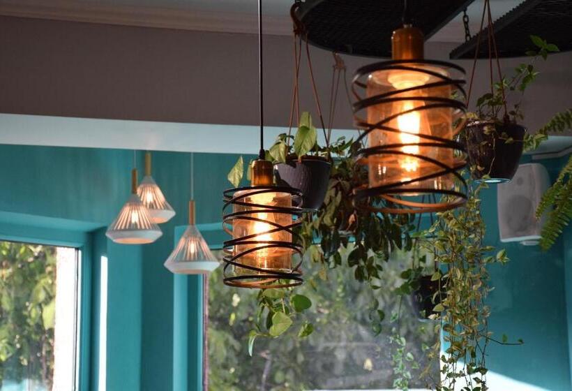 فندق Silk Road Lodge