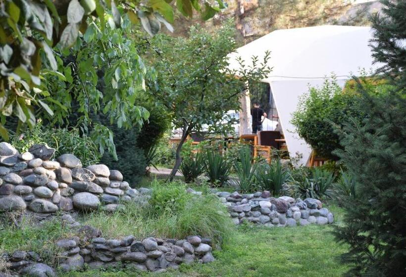 فندق Silk Road Lodge