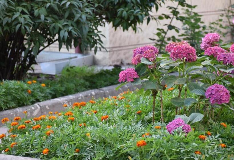 فندق Silk Road Lodge