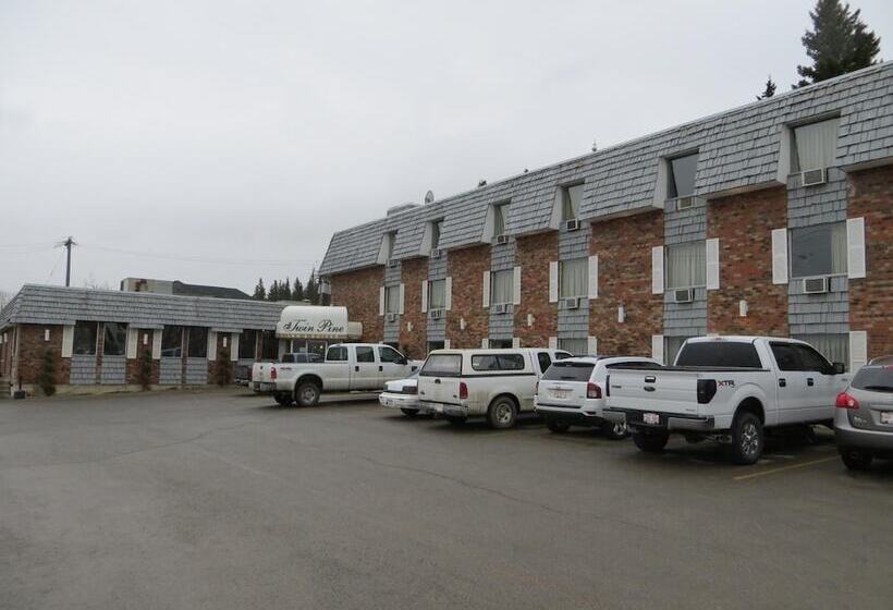 Отель Twin Pine Inn & Suites