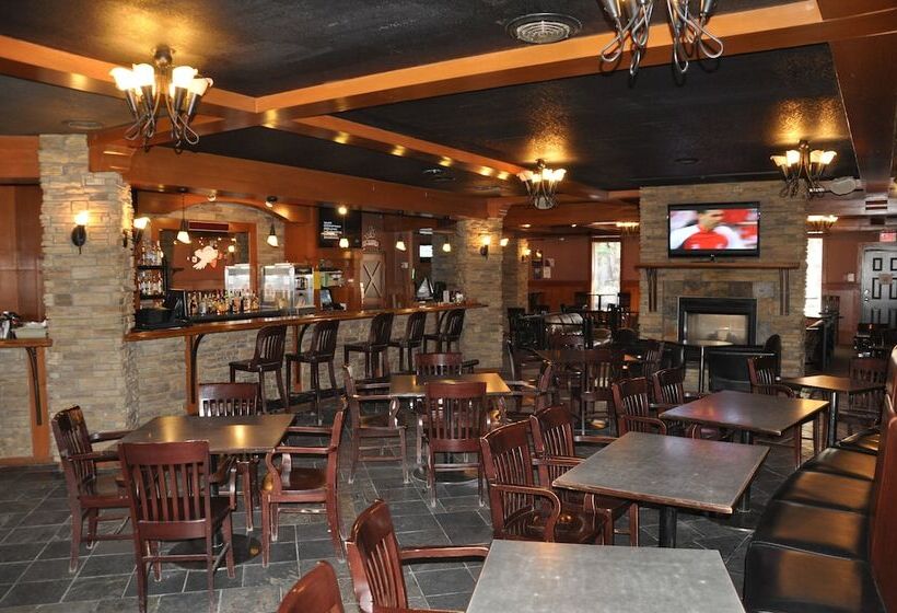 Отель Twin Pine Inn & Suites