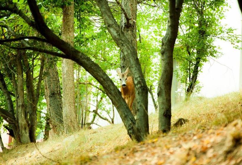 هتل World Of Gold