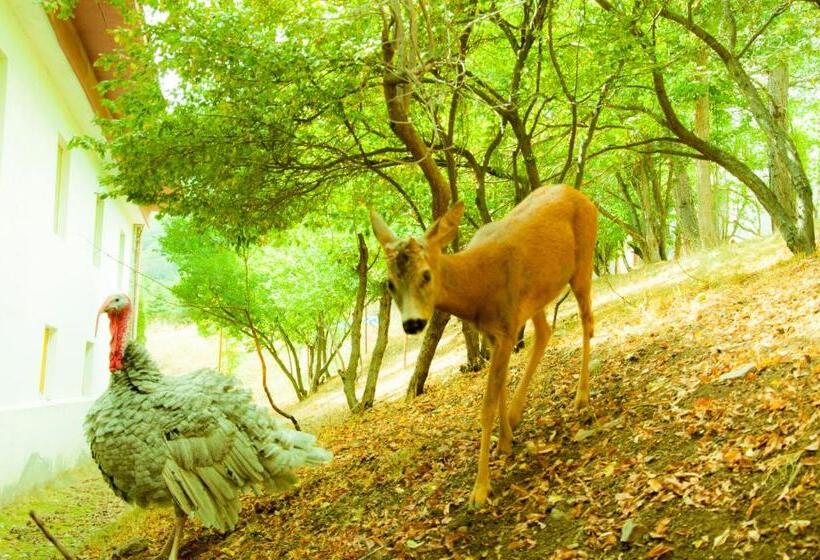 هتل World Of Gold