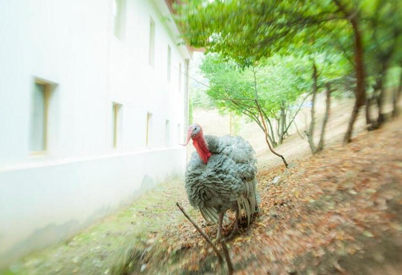 هتل World Of Gold