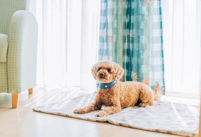 בית מלון כפרי Abenstal