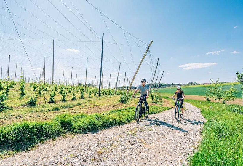 בית מלון כפרי Abenstal