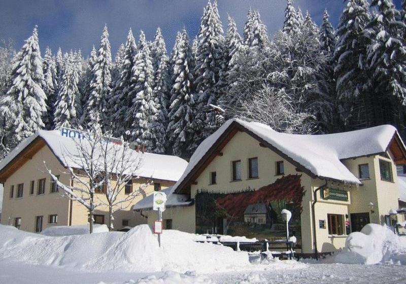 Отель & Gasthaus Sterngrund