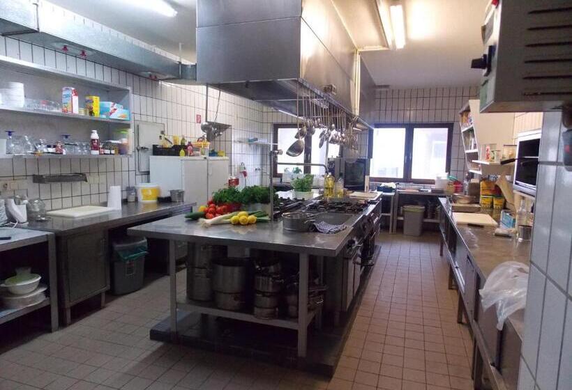 酒店 Medebach Zum Schwanenkönig