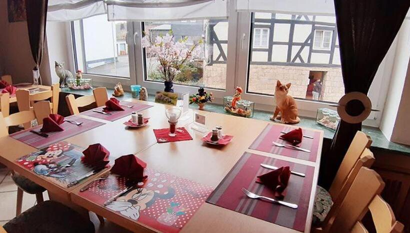 酒店 Medebach Zum Schwanenkönig