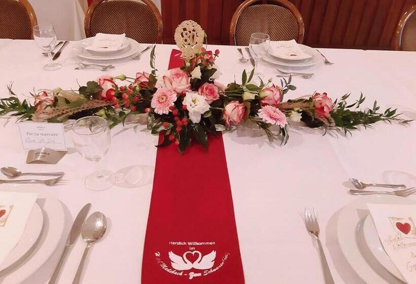 酒店 Medebach Zum Schwanenkönig