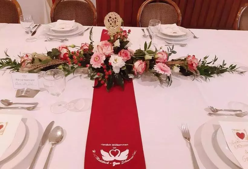 Hotelli Medebach   Zum Schwanenkönig