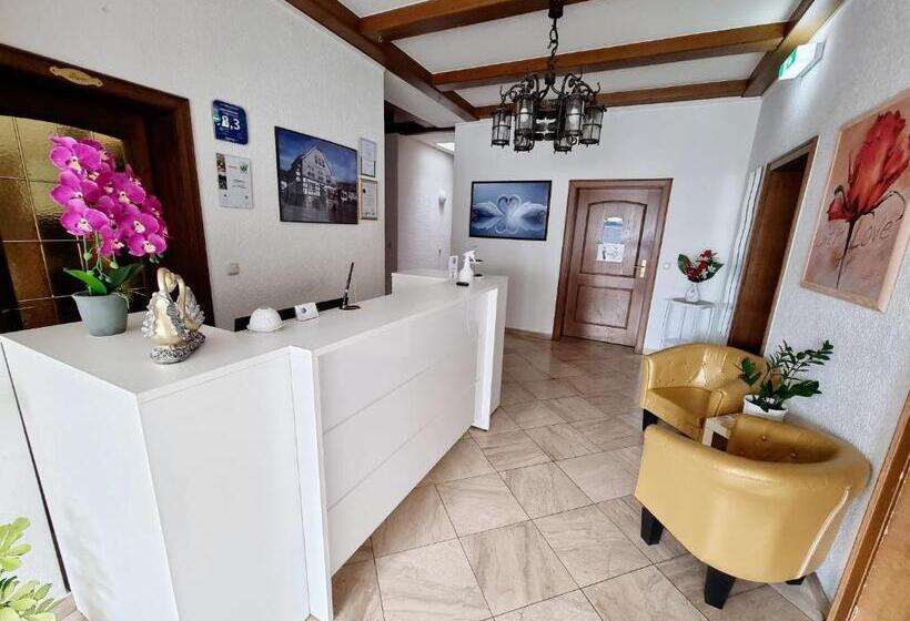 酒店 Medebach Zum Schwanenkönig