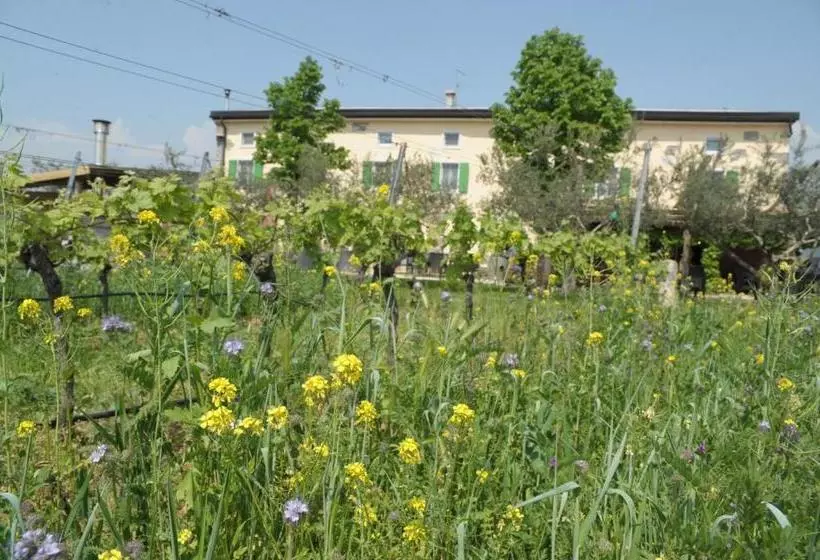 Hotelli Agriturismo Sol De Montalto