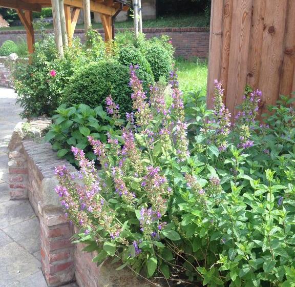 Отель To`n Schlagboom