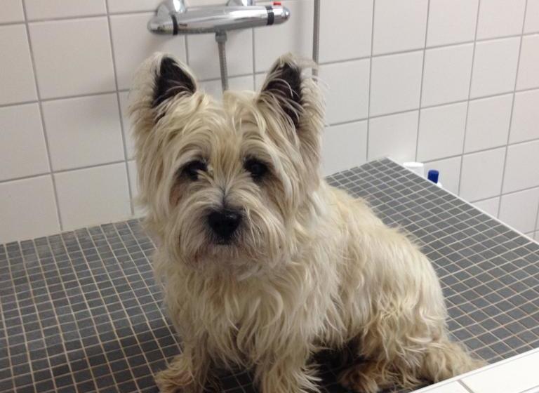 Отель To`n Schlagboom