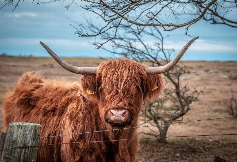 Strandhotel An Der Ostsee