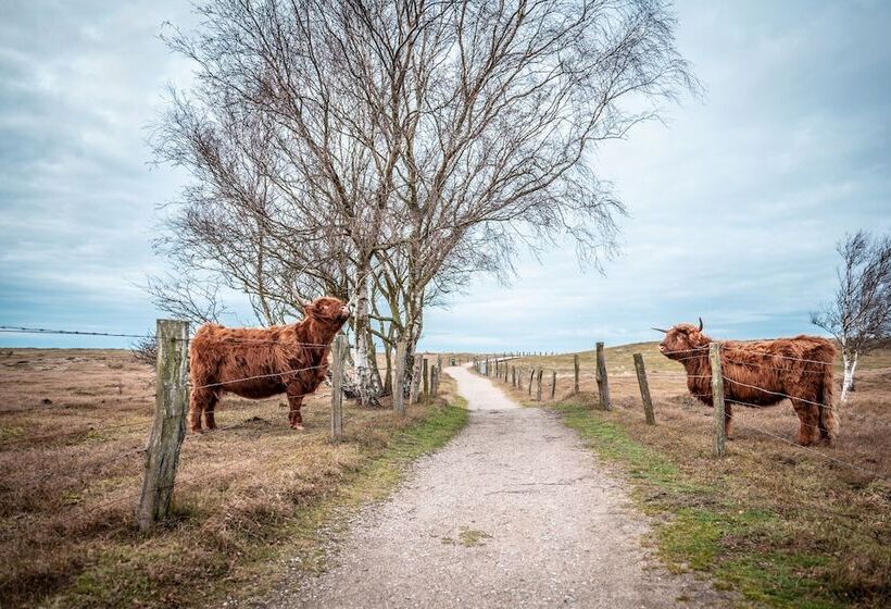 Strandhotel An Der Ostsee