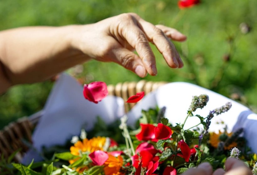 فندق Berggasthof Hochsten