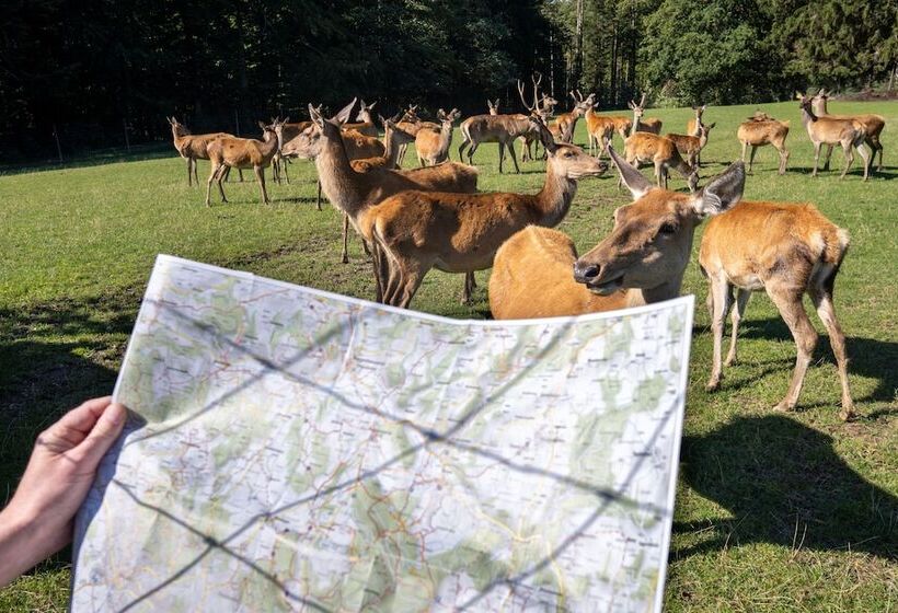 فندق Berggasthof Hochsten