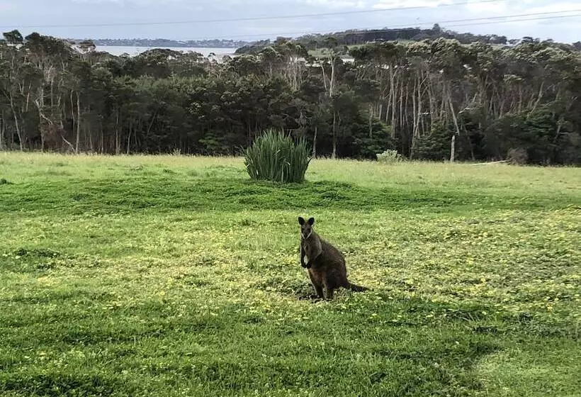 ペンション Banksia Park Estate