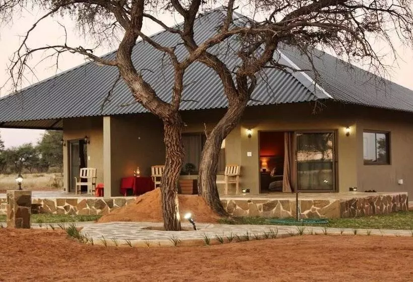 هتل Africa Awaits Lodge & Safaris