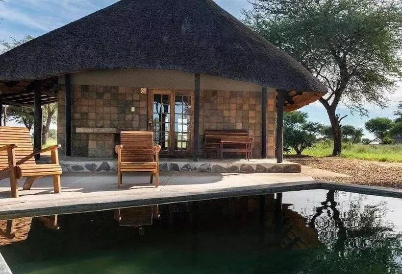 هتل Africa Awaits Lodge & Safaris