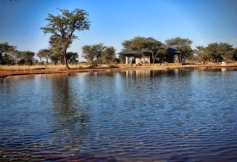 هتل Africa Awaits Lodge & Safaris