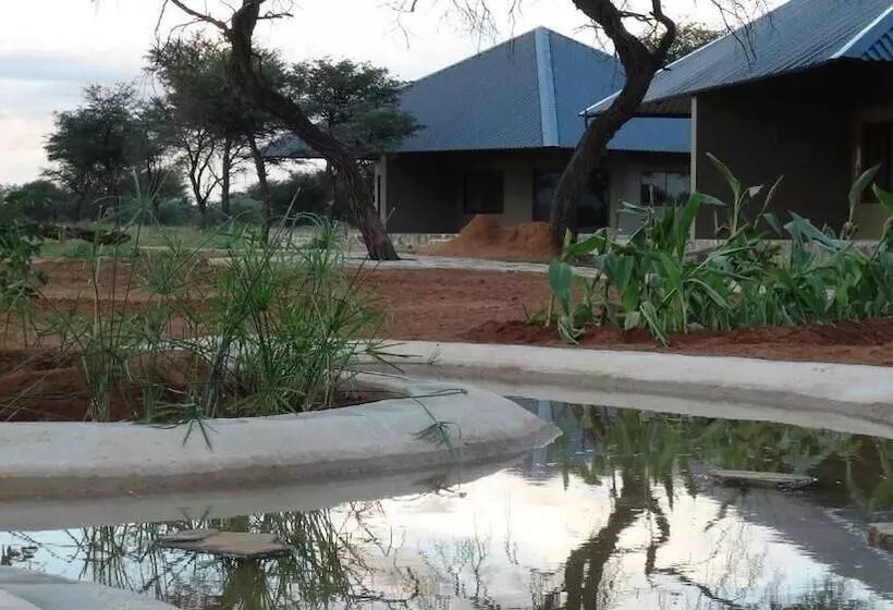 هتل Africa Awaits Lodge & Safaris